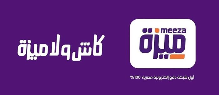 كيفية استخراج كارت فيزا ميزة في مصر 2024 بالخطوات.. وطريقة الحصول عليها والرسوم وأهم مزايا الكارت